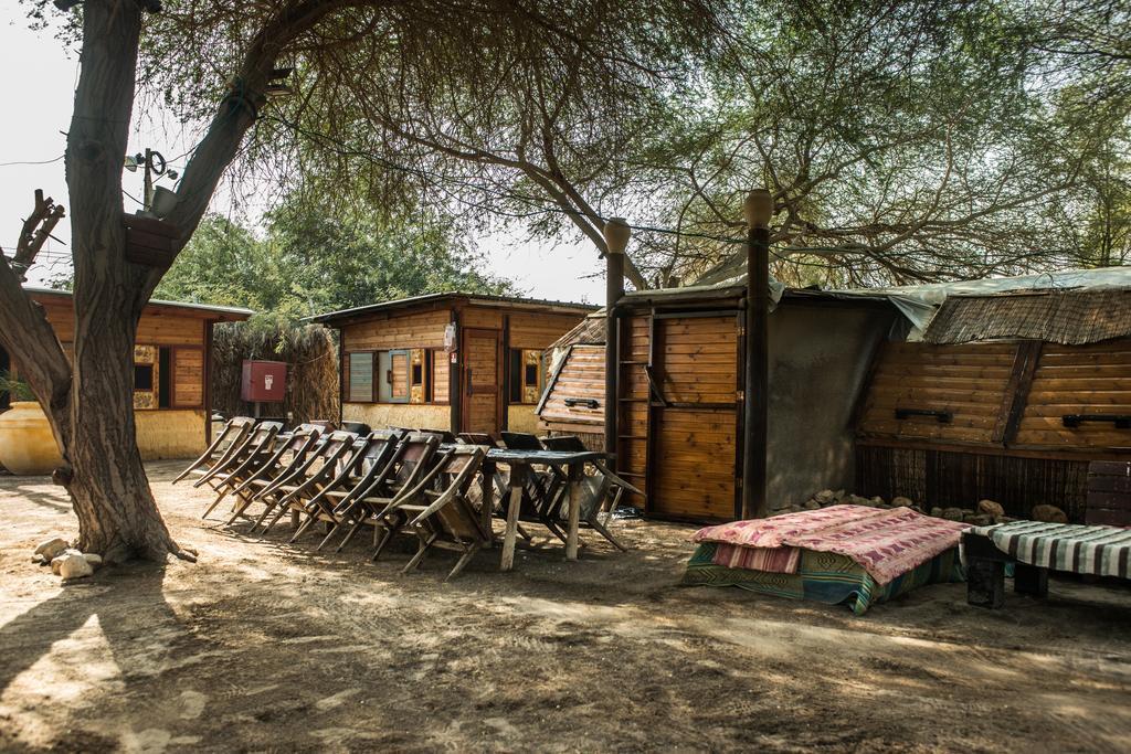 Shkedi's Camplodge Neot HaKikar Værelse billede